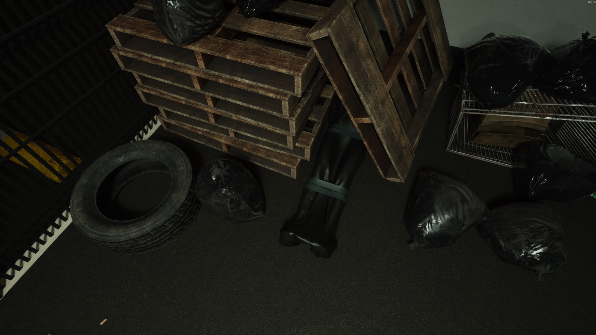 Body bag at the trash — Anomaly
