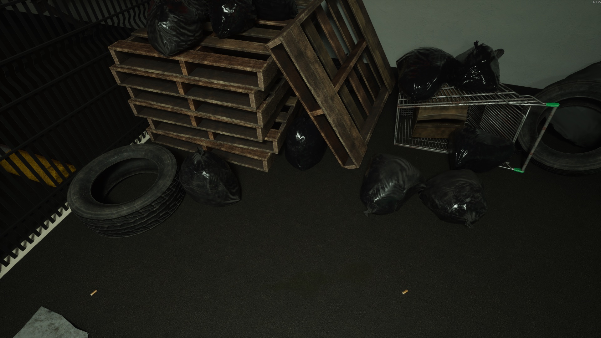 Body bag at the trash — Normal